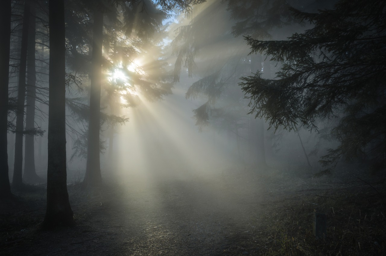 1596071015544782.jpg sunbeam-1547273_1280.jpg