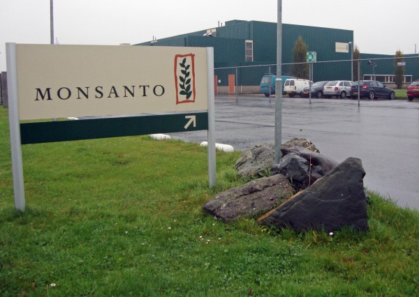 Monsanto-vestiging_Enkhuizen.jpg