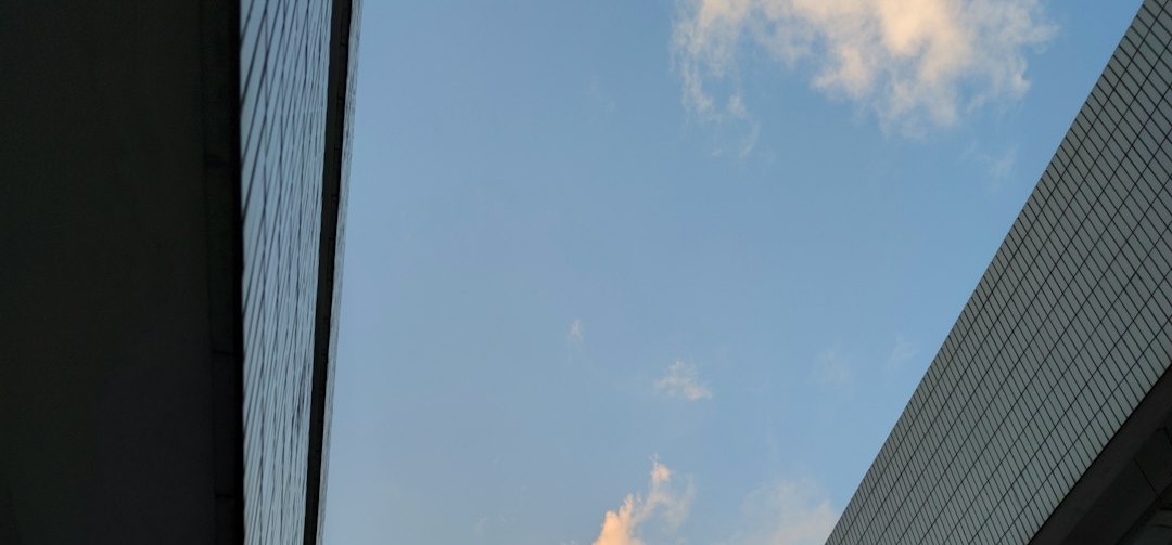 photo-1670930429728-8a4912d6a2b7.jpg